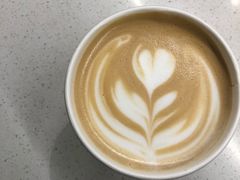 棉花咖啡-COTTON CAFE(德信·中外公寓店)