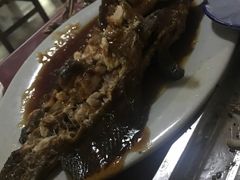-双新垂钓园