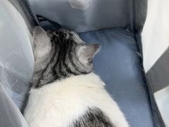 -美联众合动物医院·24h京西诊疗中心