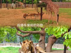 -上海野生动物园