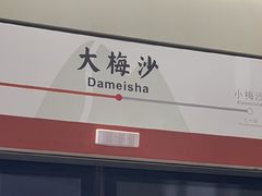 -大梅沙海滨公园
