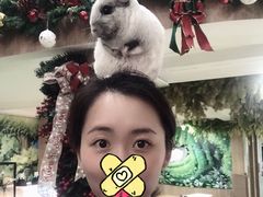 -藦茜花园宠物主题亲子互动体验馆(国顺东路店)