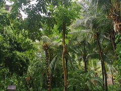 -三亚湾海居铂尔曼度假酒店