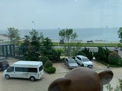 -了不起的考拉咖啡店(高新店)