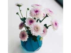 -深圳威尼斯英迪格酒店-邻芙花廊下午茶·NINFA GALLERY·蛋糕·咖啡