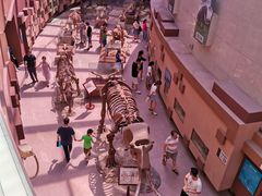 -陕西自然博物馆