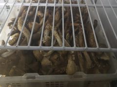 -双喜农庄·菌香园(安居家园店)