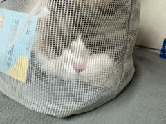-半岛宠物医院24小时(白果林店)