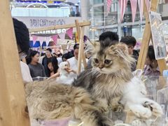 -宁波鄞州万达广场
