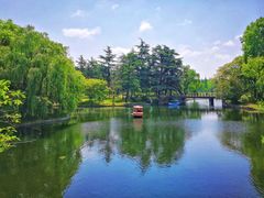 -上海共青森林公园