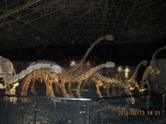 -世界恐龙谷景区