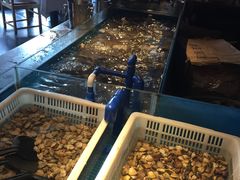 -星伦多 自助料理(圆融店)