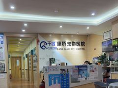 -千城康桥宠物医院CT影像·骨科·心脏专科中心(厚街分院)