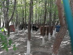 -亲兄弟真人CS团建拓展基地