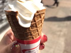 -富豪雪糕车流动点(尖沙咀店)