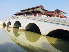 -大湾区中央湿地公园