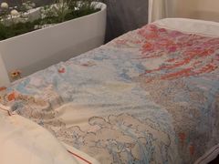 -小仙女采耳·按摩·SPA(深圳旗舰店)