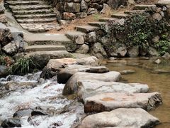 -杨家堂村
