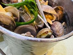 一桶黄蚬-渔娘渔家丹东海鲜(东直门店)