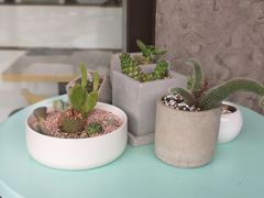 -蜜蜂小象·榴莲千层蛋糕(时代汇11栋店)