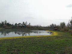 -桤木河湿地公园