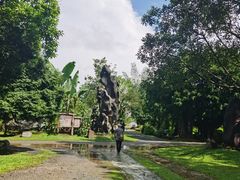 -云南勐巴娜西珍奇园