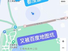 -王借岗森林公园