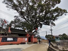 -许家山