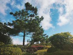 -舟山朱家尖绿城威斯汀度假酒店