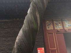 -关林