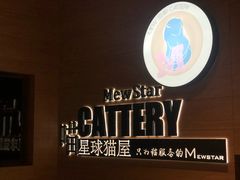 -CAT’S MEWSTAR CAFE·喵星球猫屋(晴湾咖啡店)