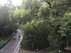 -御花园·粤菜·海鲜火锅(中山公园店)