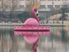 -莲花池公园