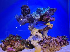 -海合安青岛极地海洋公园