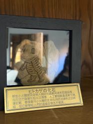 -Zoolung Zoolung动物主题公园(海信广场店)