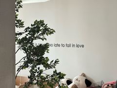 -Cappucimeow猫咪咖啡馆(韦伯时代店)