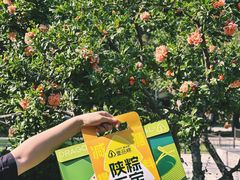 -御品轩(汉神购物广场店)