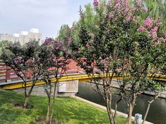 -元大都城垣遗址公园