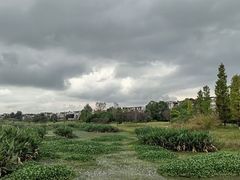 -两河城市森林公园