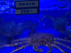 -青蓬蒸汽海鲜·深圳老字号·团建聚会(壹方城店)