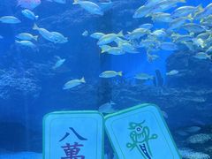 -海合安成都极地海洋公园