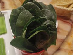 -清真军邺·金富苑肥牛(石坡街旗舰店)