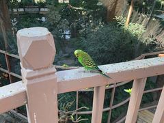 -南宫五洲植物乐园