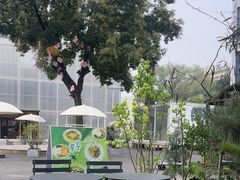 -肥朵食堂(带梦胡同店)