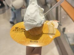 -野人先生现做冰淇淋(深圳壹方城店)