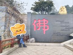 -庐山风景名胜区-东林大佛