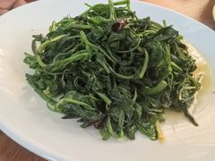 -九溪蒋记菌子宴