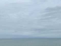 -广东惠东海龟国家级自然保护区