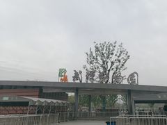 -武汉动物园