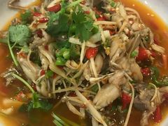 -飞虹鱼馆(春华路店)